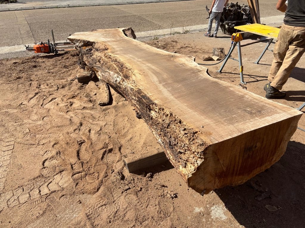 Preparación de madera · Nogal Sigular Palencia
