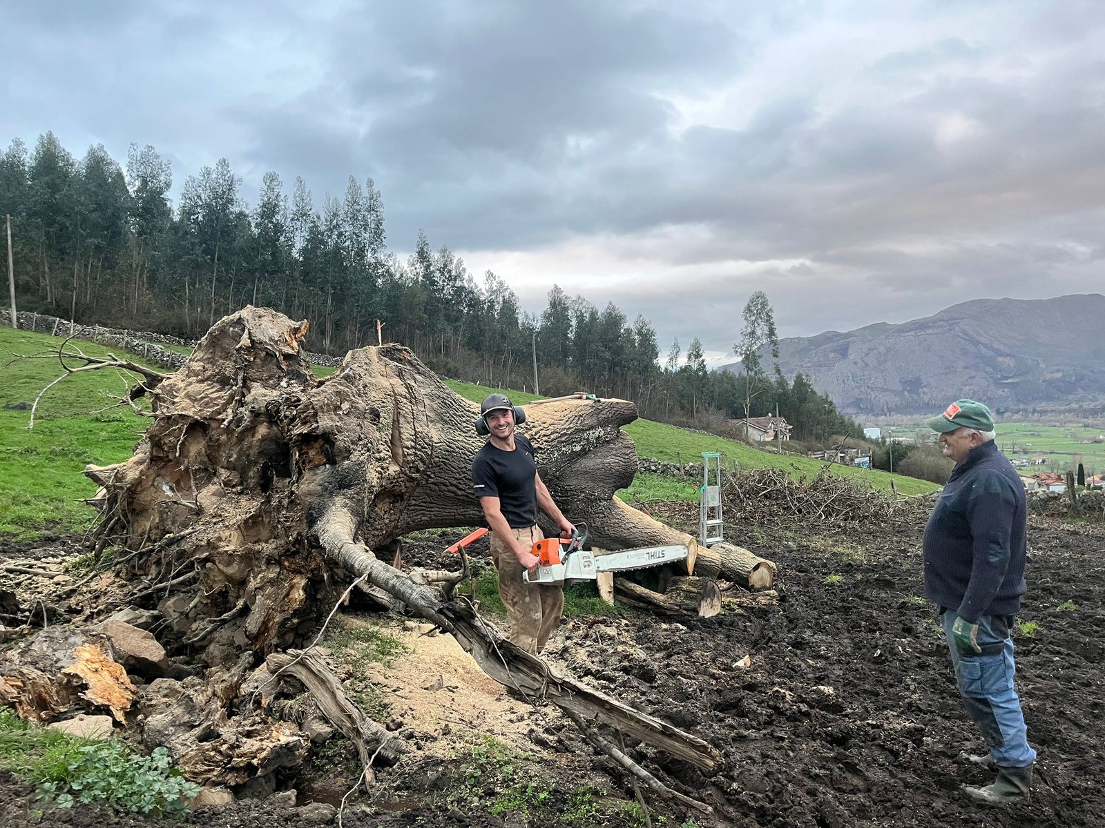 Preparación de madera · Roble Corrales de Buelna, Cantabira