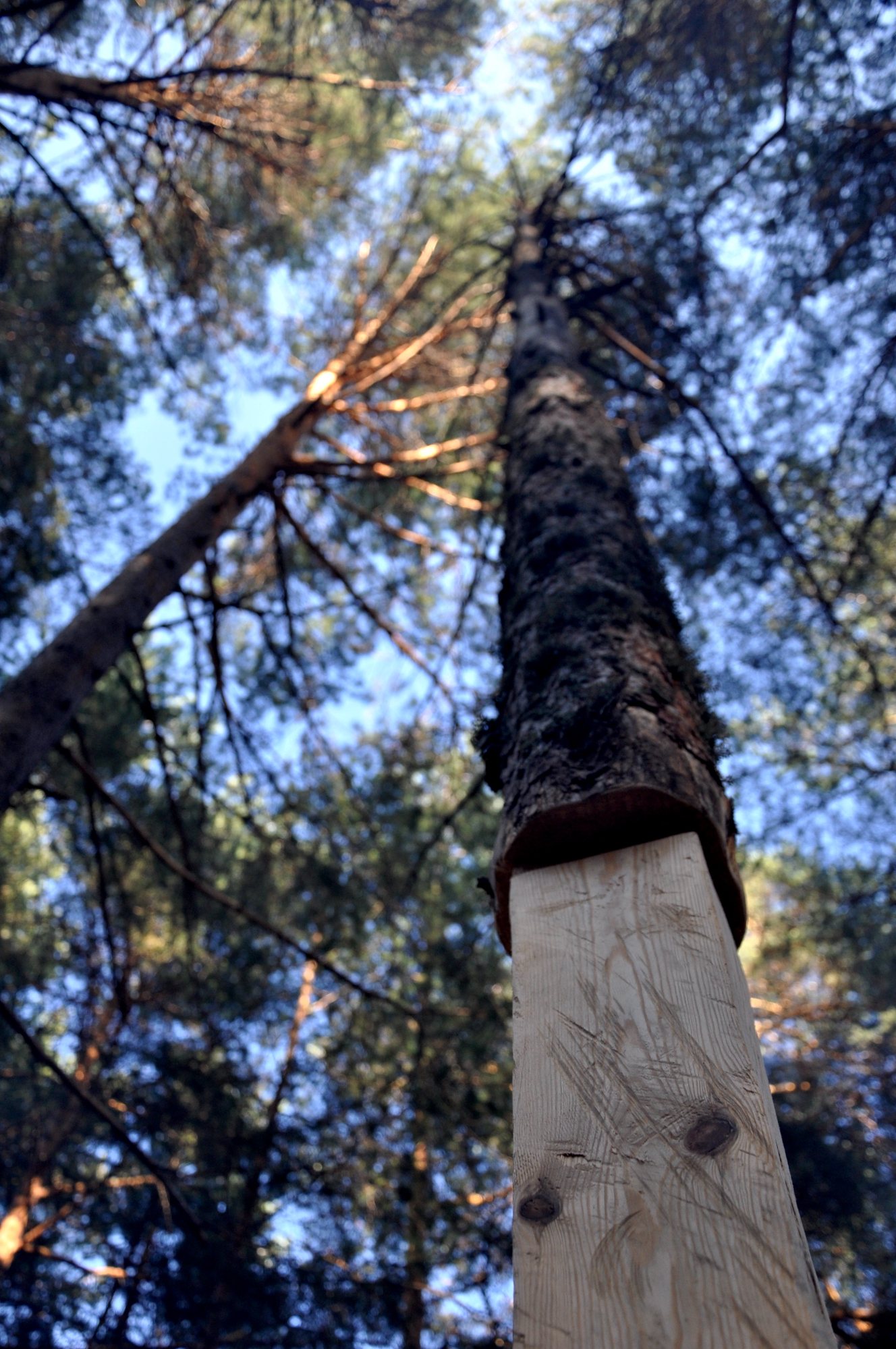 Columna · fotografía 4