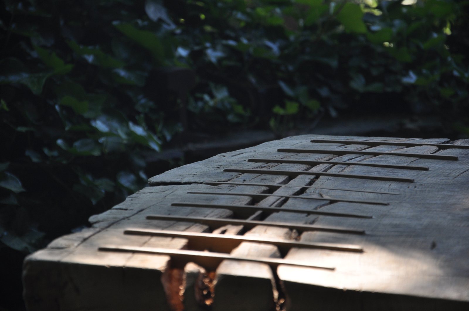 Mesa Raw y sus uniones fotografiadas en el jardín