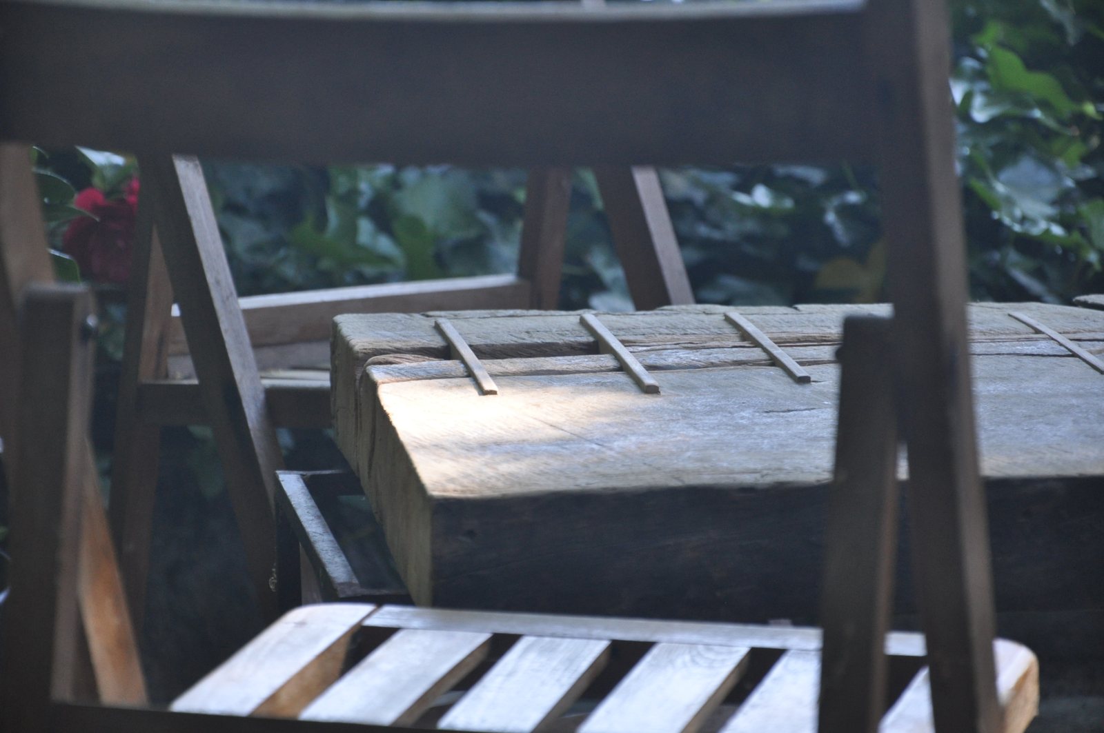 Raw · fotografía 4