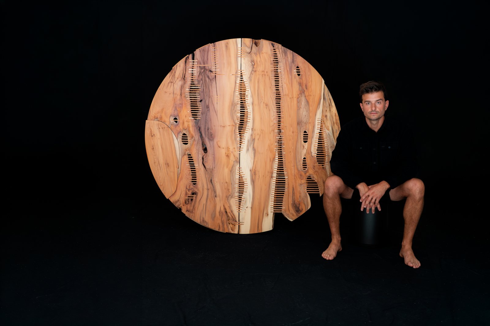 Taxus baccata · fotografía 5
