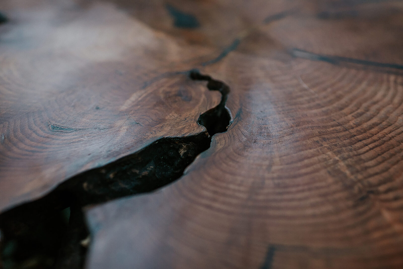 Detalle de una grieta que recorre la superficie de madera