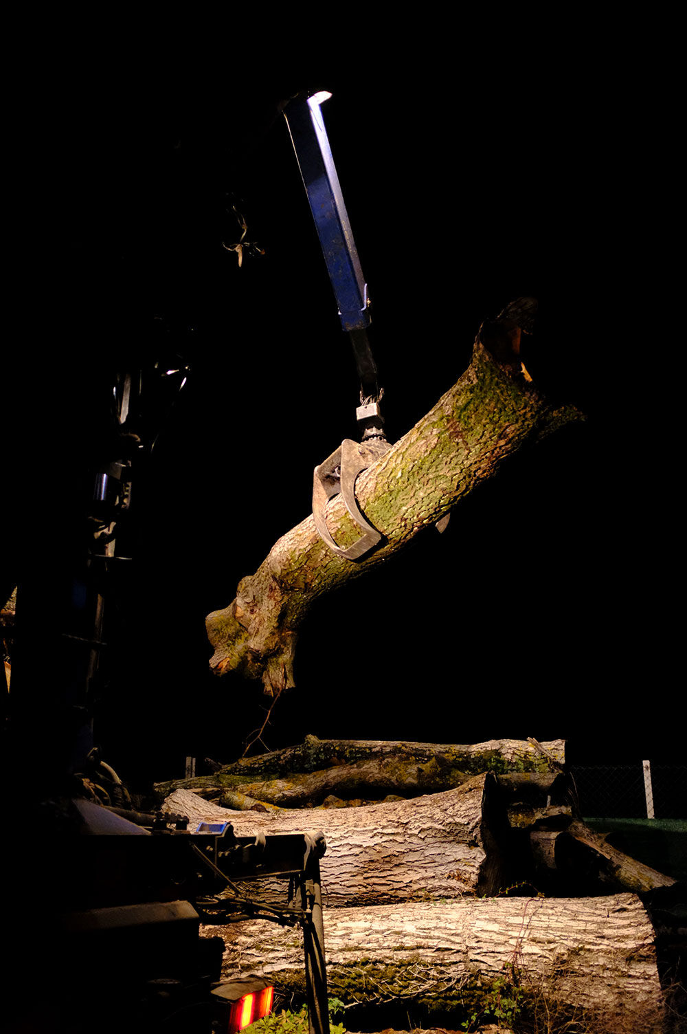 El olor de la madera: fotografía 5 del archivo de Majalasna