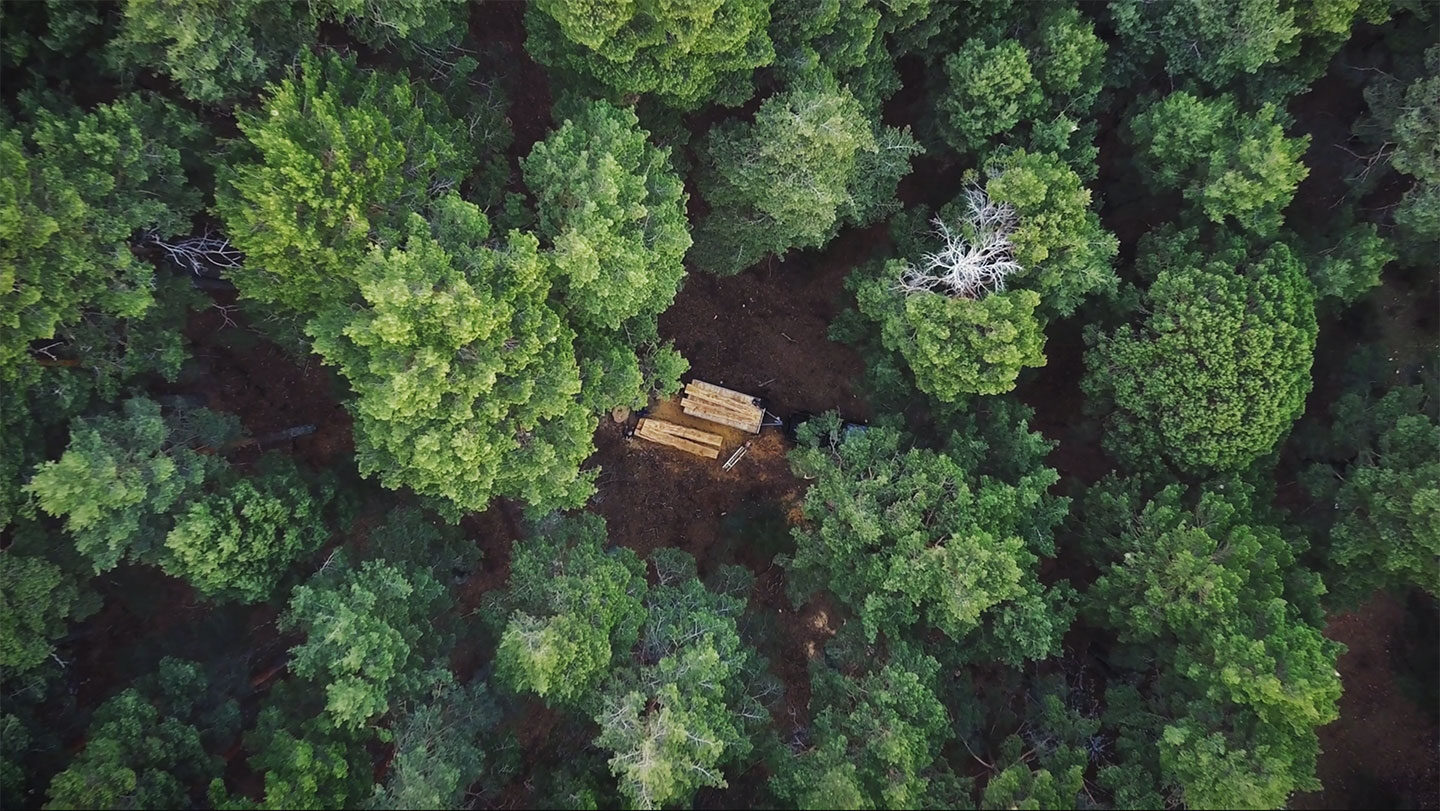 Vista aérea del bosque en la película de Majalasna